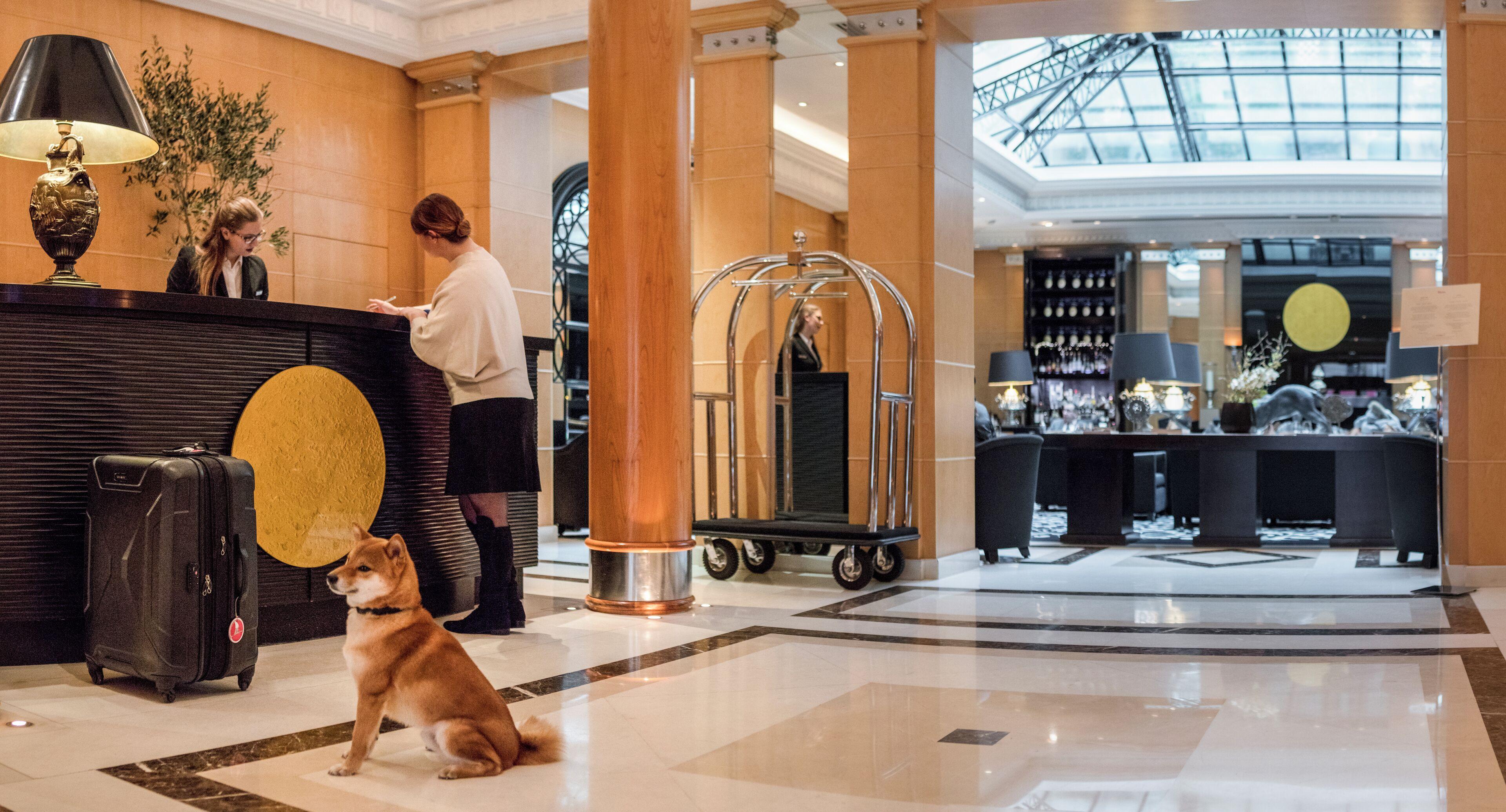 Hyatt Madeleine Hotel 5*